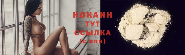 прущий лед Козловка