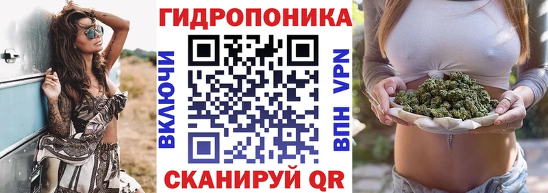 Купить  Лыткарино  Бошки марихуана VHQ 